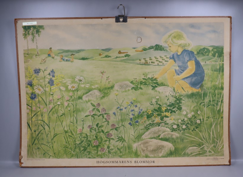 Skolplansch, "Högsommarens blommor"