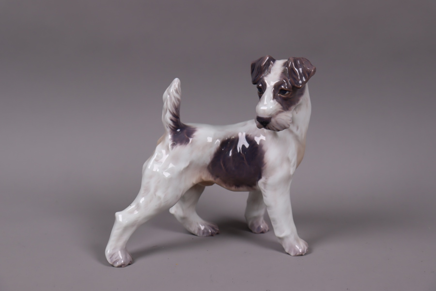 Dahl Jensen, figurin 1001, "Wire Fox Terrier Standing"