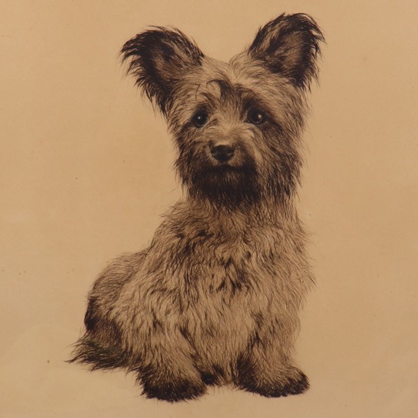 Kurt Meyer Eberhardt (1895-1977), etsning, terrier