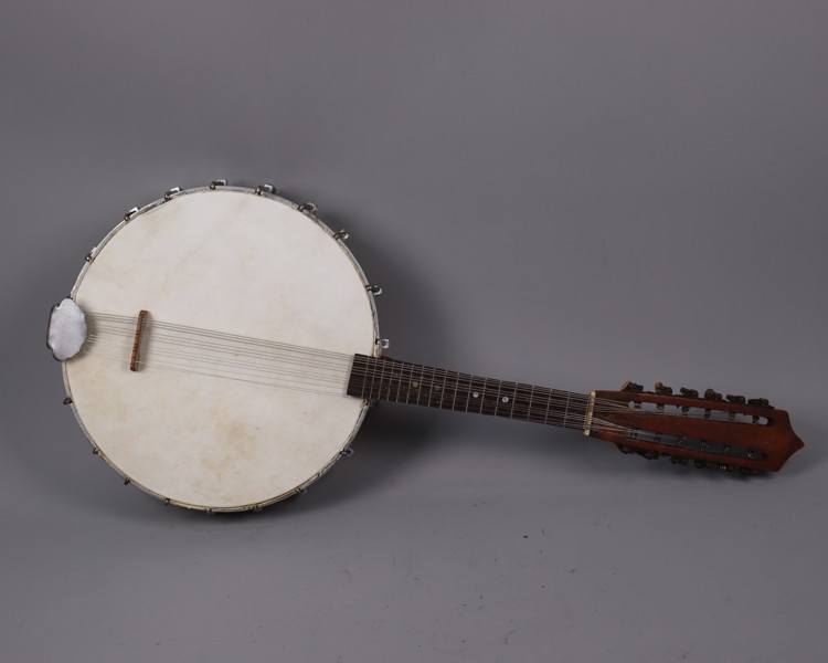 Mandolin-banjo, 12 strängar