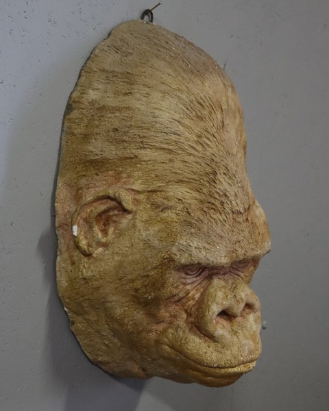 Gorillan Bobbys dödsmask, bemålad gips, 1930/40-tal